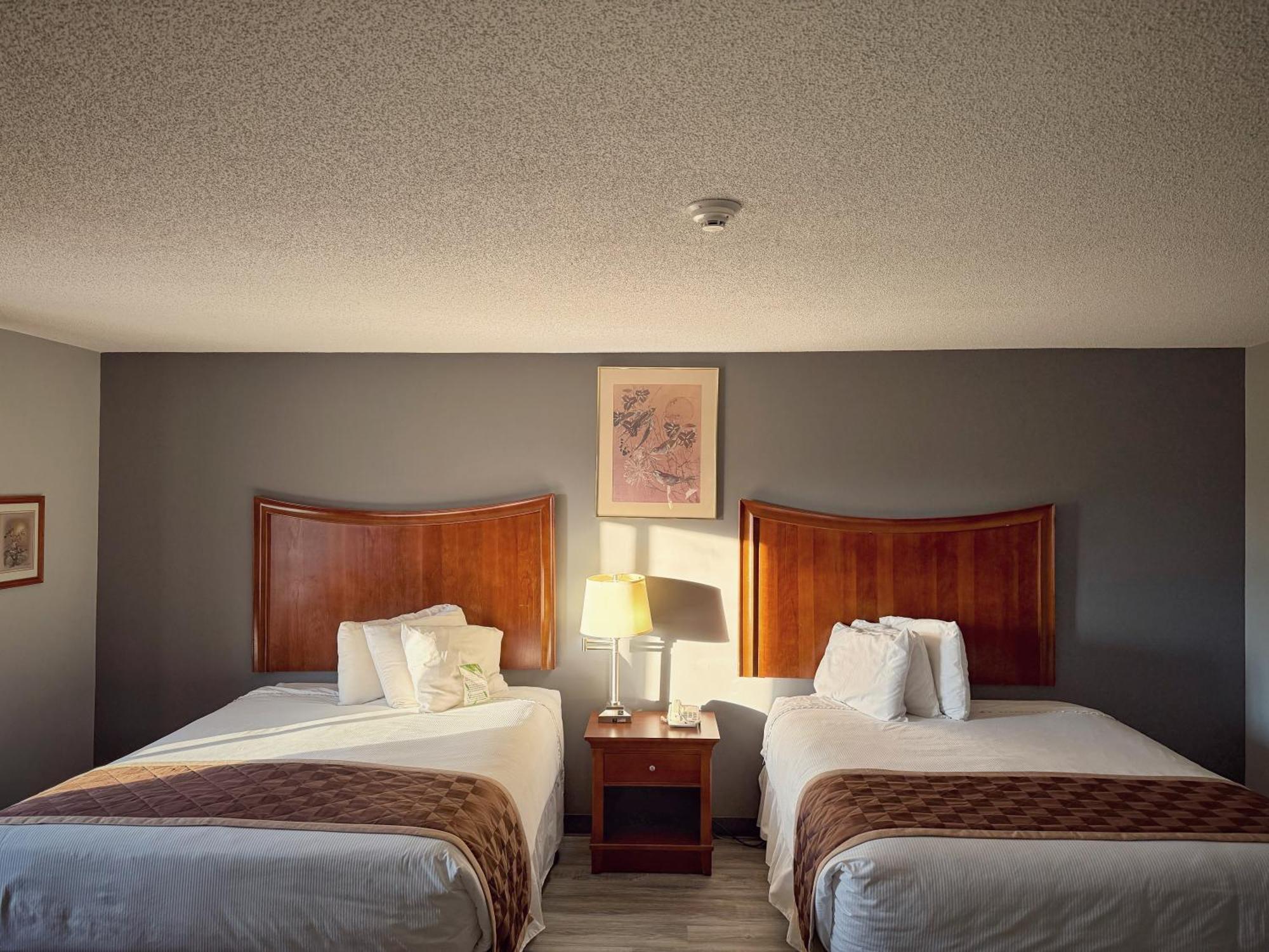 Lake Tree Inn & Suites Marion Kültér fotó